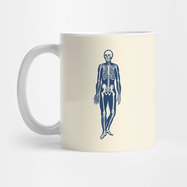 Walking Skeleton - Vintage Anatomy Print by Vintage Anatomy Prints